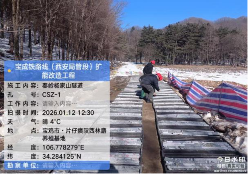 ?信電綜合勘察設計研究院有限公司2026年生產經營部第一季度季報